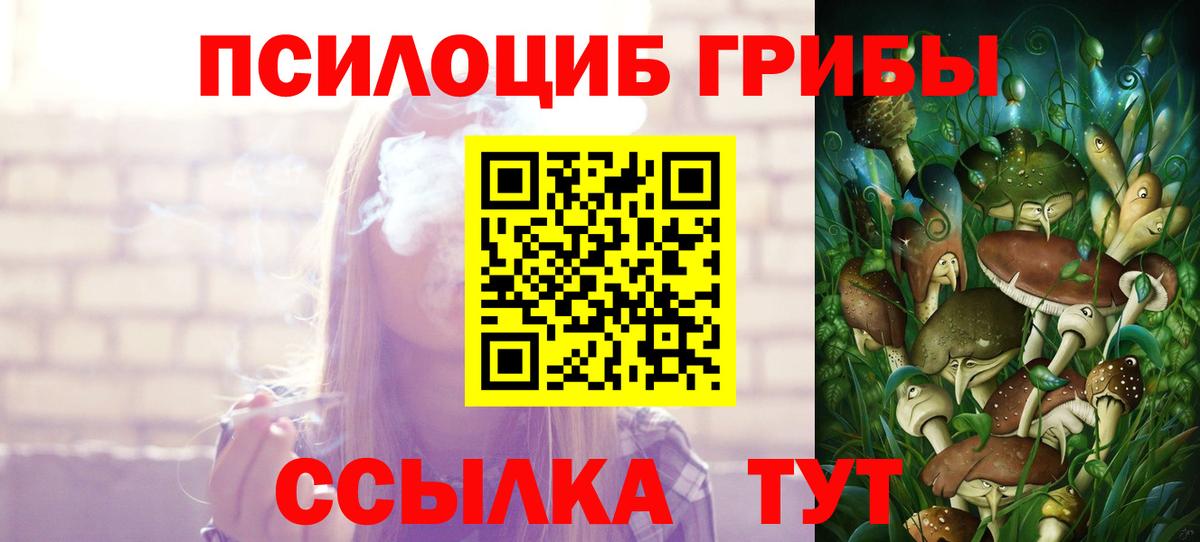 Галлюциногенные грибы Magic Shrooms  Вход с VPN  Галлюциногенные грибы Cubensis  Полевской 