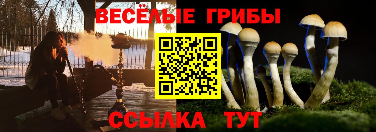 Псилоцибиновые грибы MAGIC MUSHROOMS Полевской